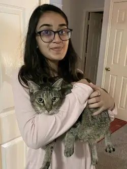 cat pic