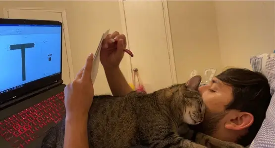 cat pic